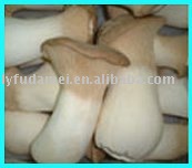 cultivated mushroom