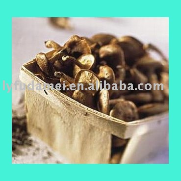 fresh  vegetable   mushroom 
