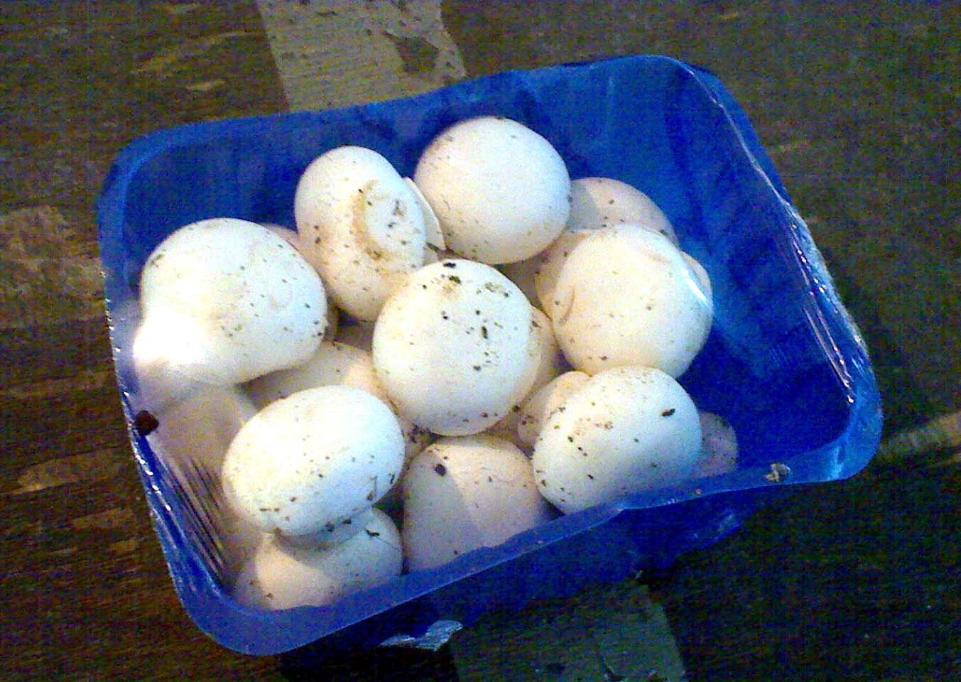  FRESH   BUTTON   MUSHROOM S