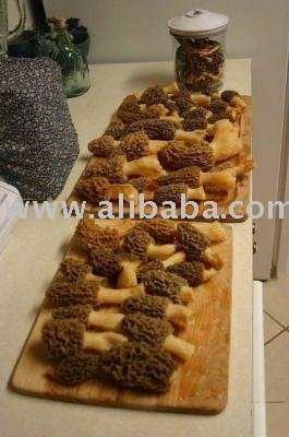  Dry  Morchella  mushroom / Wild   mushroom /Black Morel