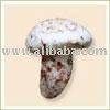 Fresh Matsutake (Pine) Mushroom