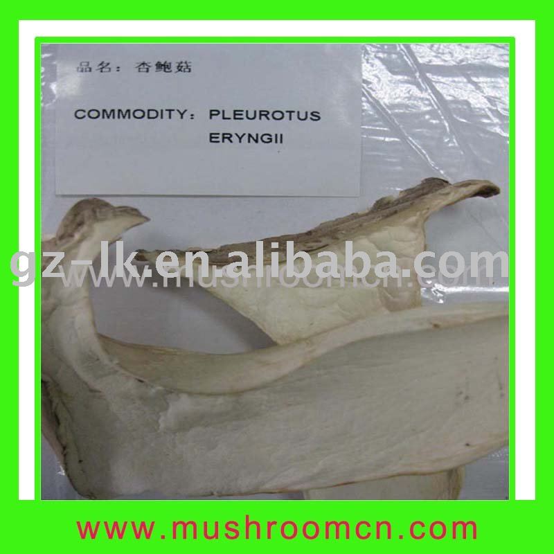 2011 hot sale dried mushroom