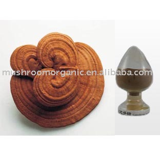Dried  Organic  Reishi  Mushroom  Powders and  Extract 