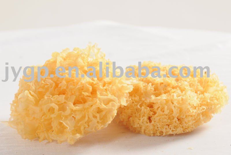 White Fungus(Tremella)