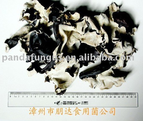 2011 year dried mushroom