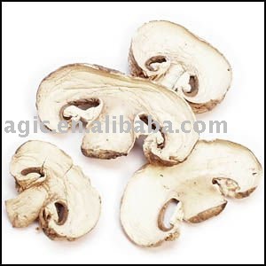  Dried   Champignon  Slice