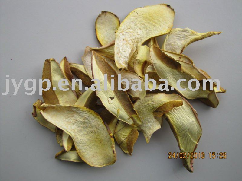 Bolete slince