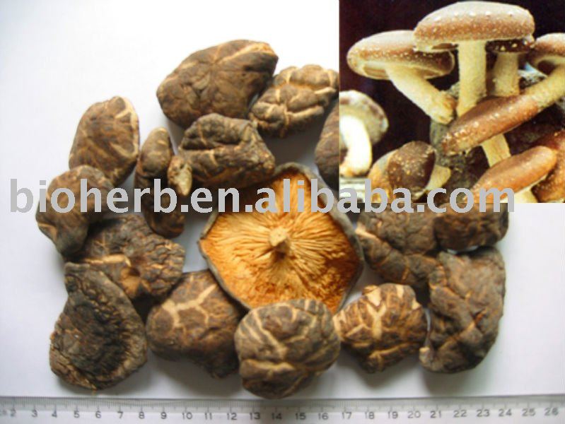 Chinese Mushroom-  Organic   Dried   Shiitake  Mushroom (Xiang Gu)