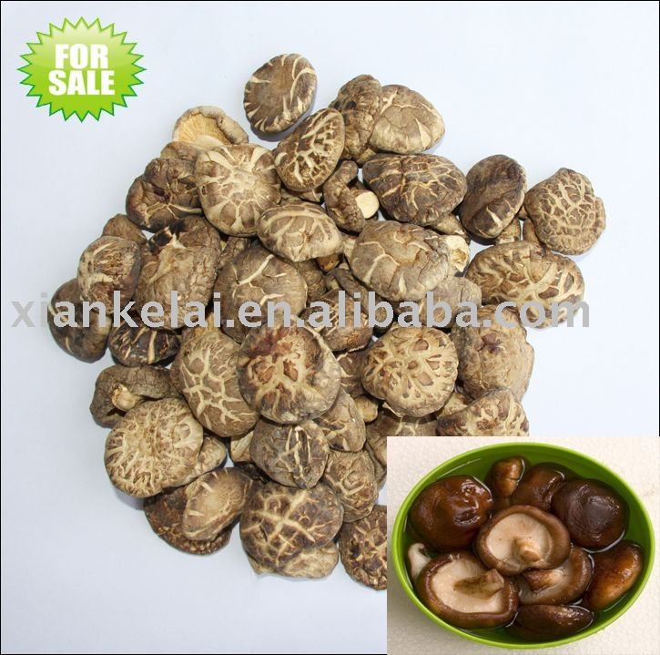 Shiitake (Mushroom)