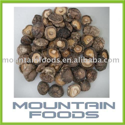 Canned Mushroom /  Dried  Mushroom /  Shiitake 