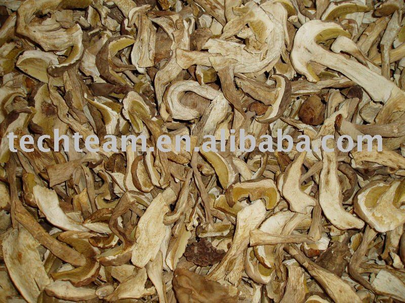 dried mushroom organic boletus edulis (porcini)--grade A