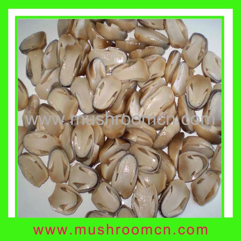 Canned straw mushroom