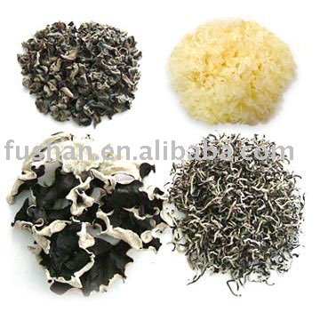  Dried   Fungus  (Black, White)