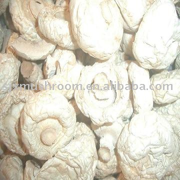  Dried   mushroom  ( whole  and sliced)