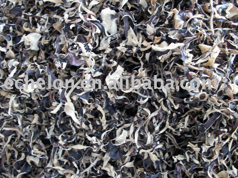  Dehydrated   black   fungus 