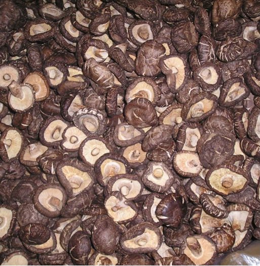 Dried Shiitake Mushroom Directly From XI XIA County Henan