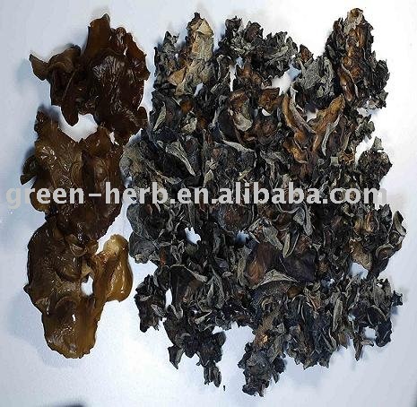 Black  fungus   Extract 