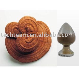  organic   Ganoderma   lucidum (Reishi) powder