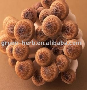  Shiitake   Mushroom   Extract  / Food additive