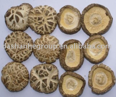 Dried White Flower Shiitake