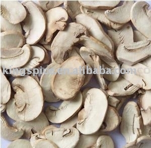 FD  spore   mushroom 