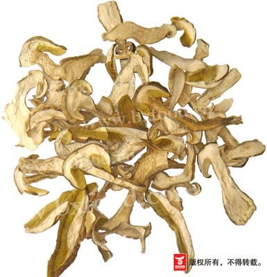  dried   boletus   edulis   slices 