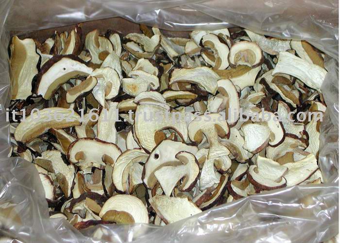 dried mushrooms boletus edulis