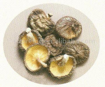 Dried Shiitake Mushroom(thick)