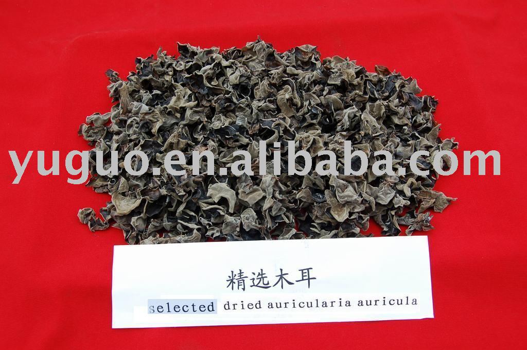 selected dried black fungus