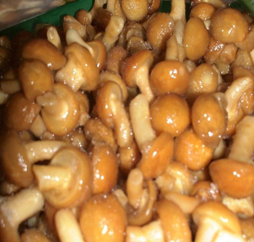 nameko