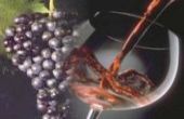 Selection "La Veneta"