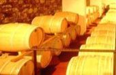 Selection "La Marchigiana" wine