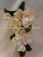 BOUQUETS - Frangipani Gum Paste
