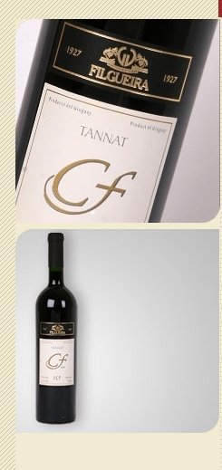 WINE-Tannat