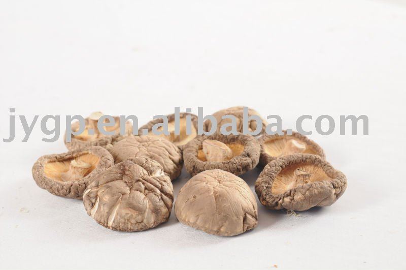 dried mushrooms