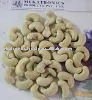 Export Cashew Kernels