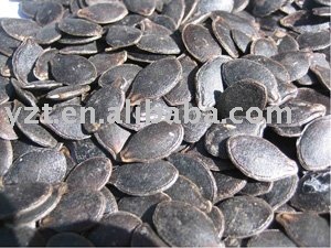 pumpkin seed