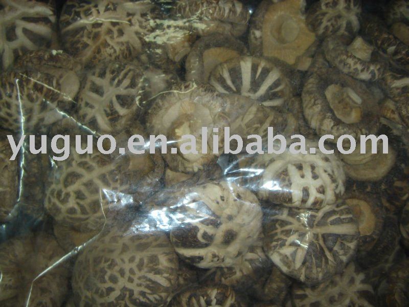 thin shiitake mushroom