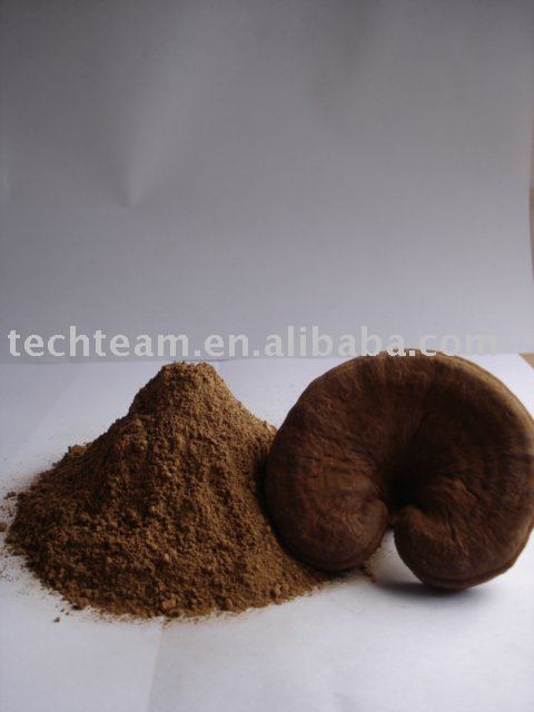 Organic Ganoderma Lucidum (Reishi) --lingzhi