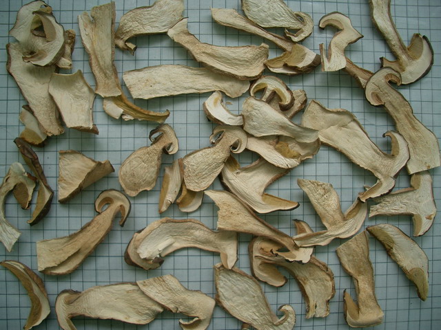 dried mushrooms
