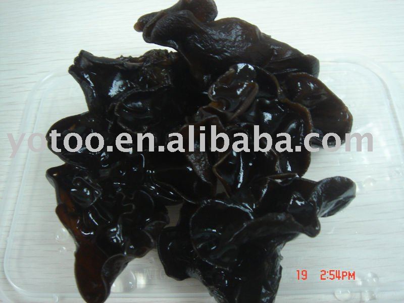 dried black jew s  ear  , fungus ,agaric