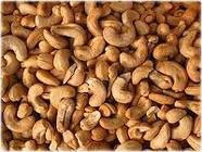 raw and fresh cashew nut
