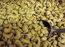 Cashew