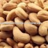 raw cashew nuts