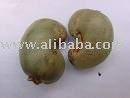 Raw cashew nut in shell