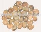 raw cashew nut