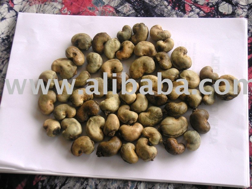  Raw   Cashew   Nuts 