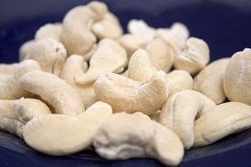 Indian Cashew Nut Kernels