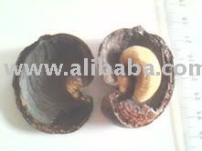Cashew nuts
