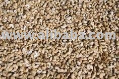 Cashew nuts for sale